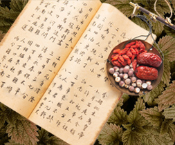 杏林之路 健康之树